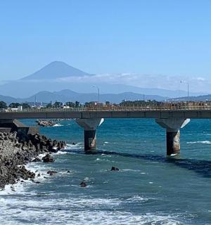 河上的一座桥，河里有人