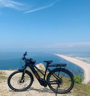 a bike parked on a hill overlooking a beach