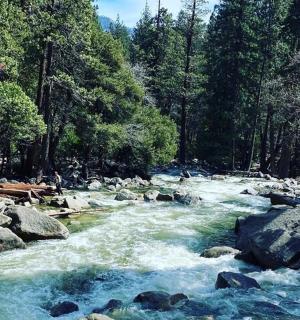 a stream of water with rocks and trees