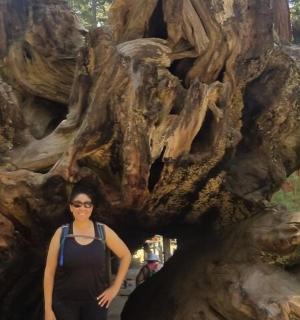 a woman standing in front of a large uprooted tree