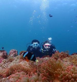 站在珊瑚礁上的人