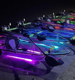 a group of kayaks lined up in a row