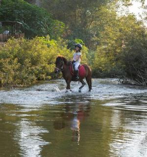 一名女子骑马过河