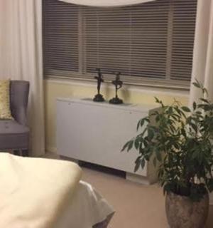 带植物和窗户的客厅