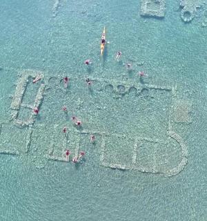 一群人在沙滩上的水中