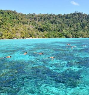 eine Gruppe von Menschen, die im Meer schwimmen
