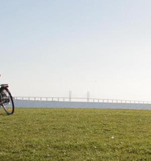a bike parked in a field with a bridge in the background