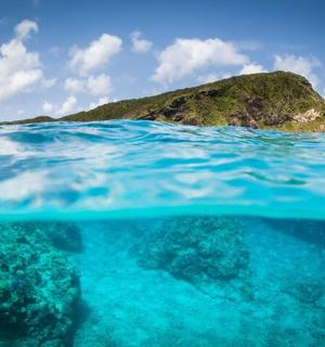 a view of an island from under the water