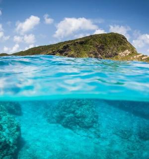 a view of an island from under the water