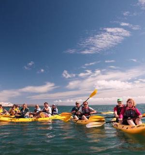 a group of people in kayaks in the water