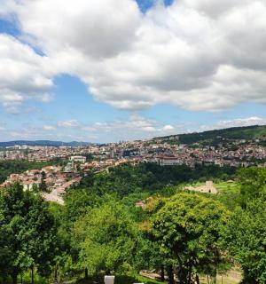 从树木繁茂的山上俯瞰城市