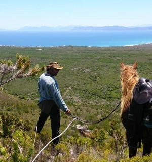 山顶上骑马的男人
