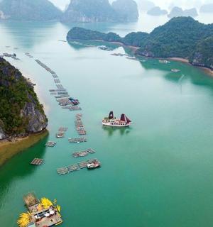 一大片水域中的一群船