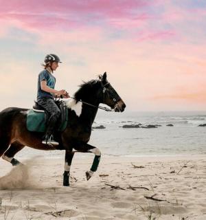 一名女子在海滩上骑马