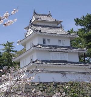 一栋高大的白色建筑,背景是树木