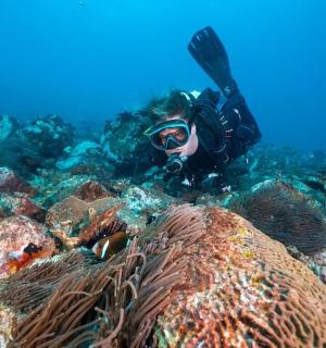 a person is swimming in the ocean near a reef