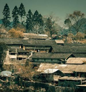 a group of houses with roofs on a hill
