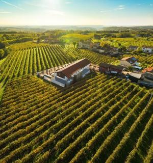 en luftfoto af en vingård med en bygning i midten