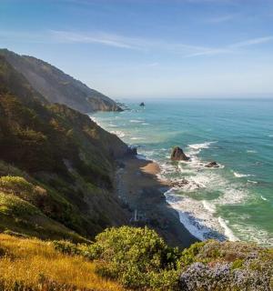 a view of the ocean from a hill