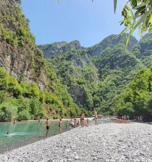 група људи на плажи близу планине