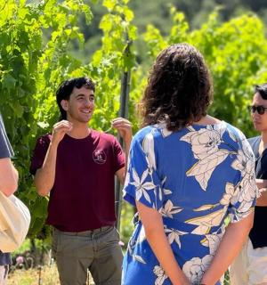 一群人站在葡萄园前