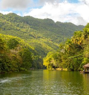 一条河中央的船，两旁种着棕榈树