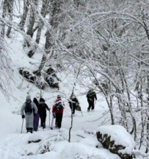 un gruppo di persone che cammina lungo un sentiero innevato