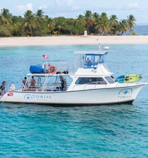 a white boat in the water next to a beach