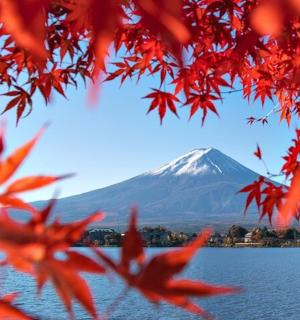 背景是一座红叶山和一座湖