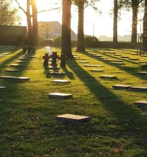 草地上挂满标志的田野，树木繁茂