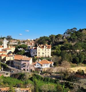 a town on a hill with houses and trees