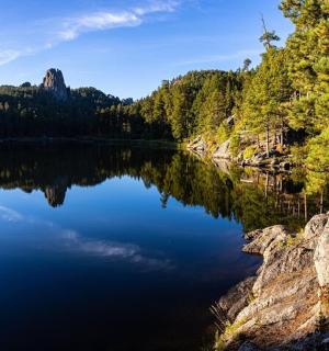 森林中间的湖泊景观
