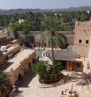 俯瞰有棕榈树和建筑物的村庄