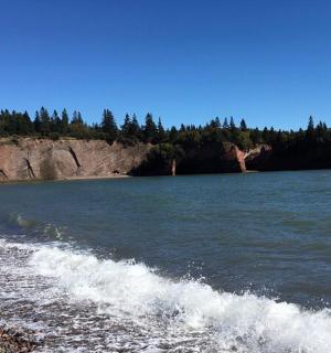 一群人在水边的沙滩上散步