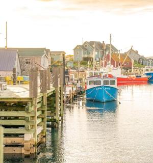 a group of boats are docked in a harbor
