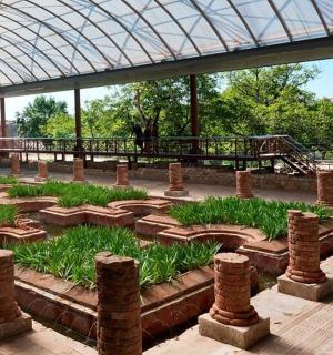 a garden with rocks and grass in a building