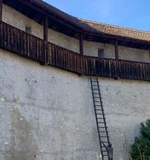 有栅栏的墙边的梯子