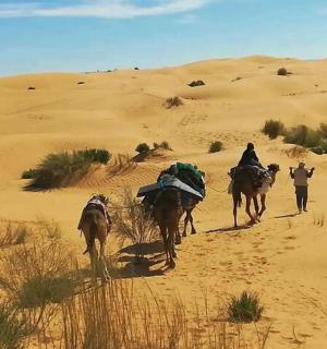 一群人骑着骆驼在沙漠中
