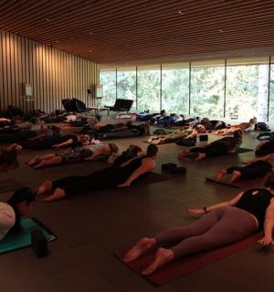 一大群人在房间里做瑜伽