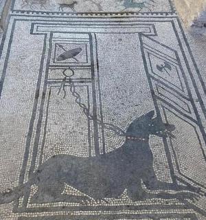 mozaika psa na podlaze