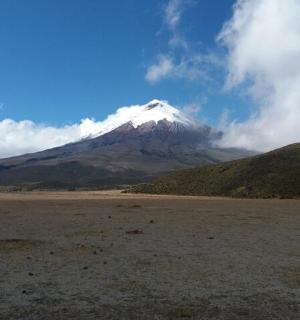 田野中央的一座白雪皑皑的山峰
