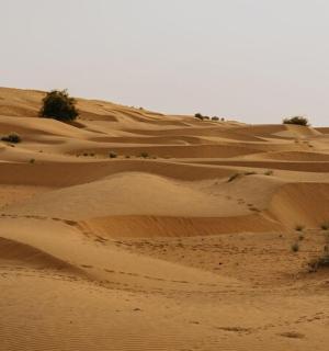 沙漠中的一组沙丘