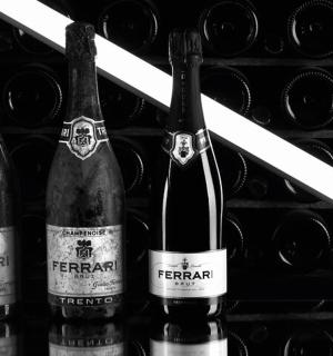 a group of three bottles of wine in a wine rack