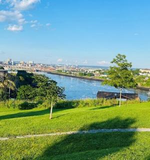 从有绿色田野的公园欣赏河流