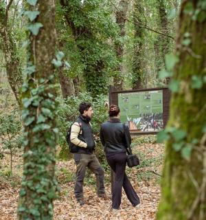 muž a žena procházející se lesem