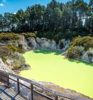 zelená vodní plocha vedle dřevěné promenády