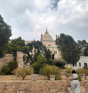 一位女士站在墙上看着一栋建筑