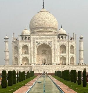 泰姬陵前有树木的景色