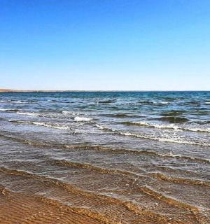 一片有波浪的海滩