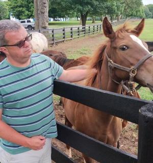 muž se dívá na koně za plotem
